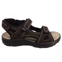 Adams 1-450-23005-19 Καφέ