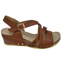 Medies 2479-F1 Ταμπά